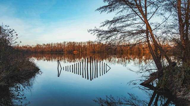 Gravière aux Oiseaux - Balade commentée