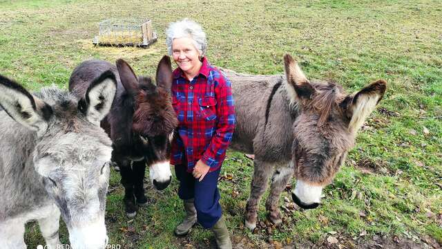 Explorez la vie à la ferme : ânes, vaches et glaces maison !