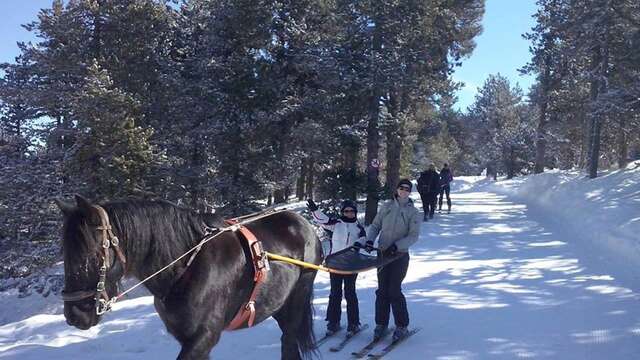 Ski joering en solo ou en duo avec Angaka Village Nordique