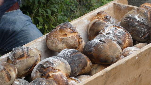 Les petits secrets du pain avant sa mise au four