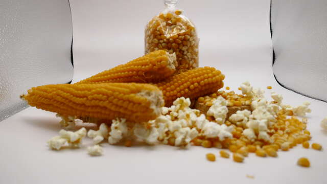 Top pop corn - La visite gonflée