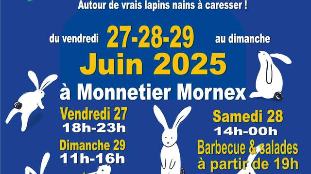 Festival Lapinogames