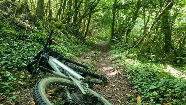 Circuit VTT n°7 (rouge) - Côtes de Villereversure, terres à Comté
