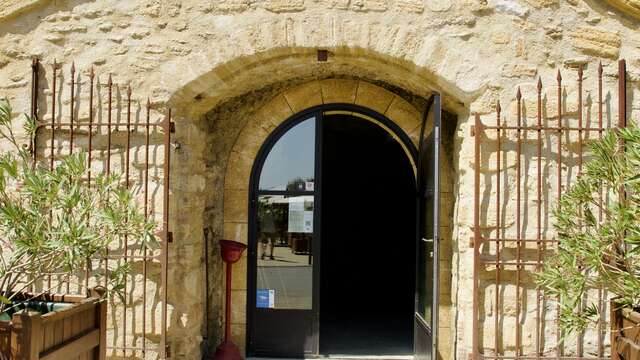 Dégustation de vins à la Vinothèque de Châteauneuf-du-Pape