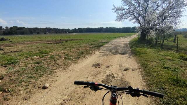 Mountain bike course Istres