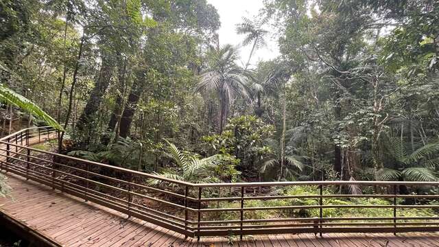 Le deck