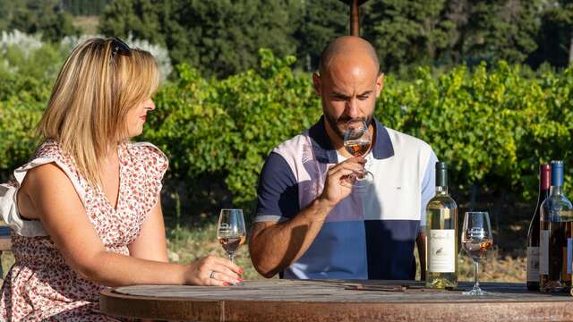 Secrets de vignes et saveurs - Enclave des Papes