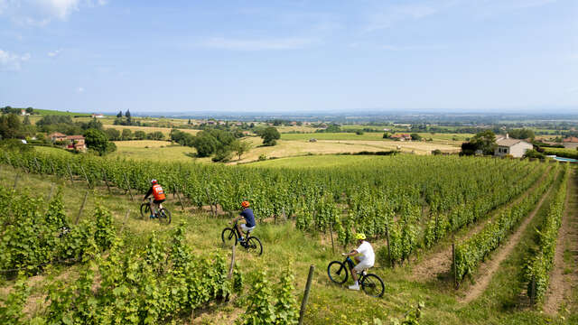 Boucle 7 / La Vaillante / Lentigny - Villemontais - St-Jean-St-Maurice-sur-Loire