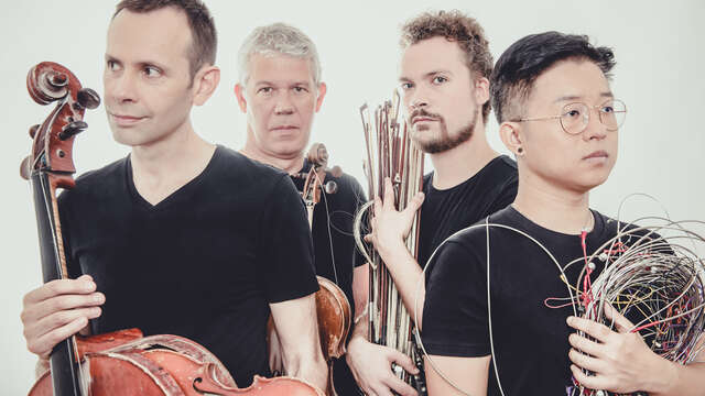 Quatuor Diotima, cordes