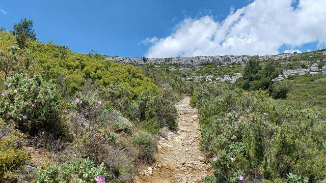 Les sources de Garlaban