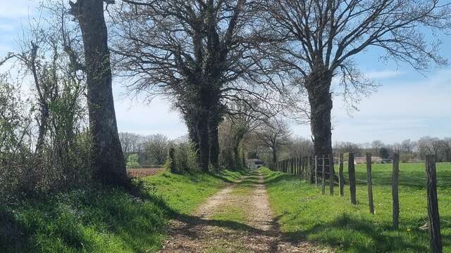 Randonnée - Tour de Certines et du château de Genoud