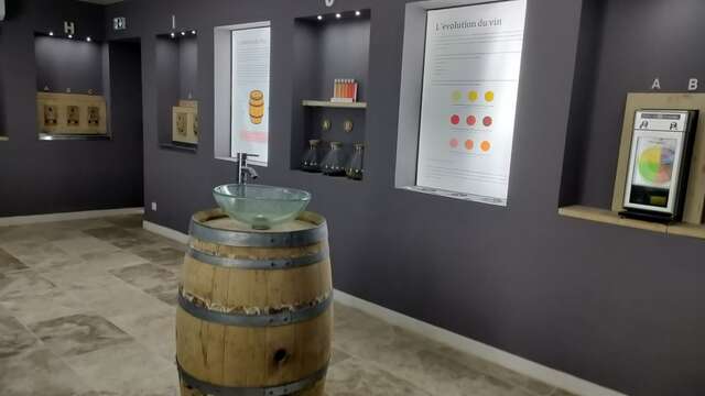 The Winotarium - Sensorial discovery of wine