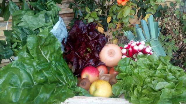 Les paniers de la Bruguede