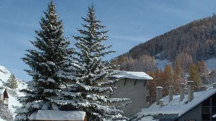 Appartement 2/4 personnes - La Chalp C8