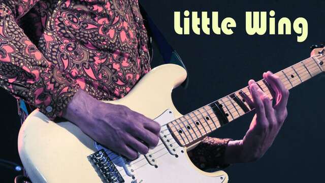 Soirée live music : concert Little Wing