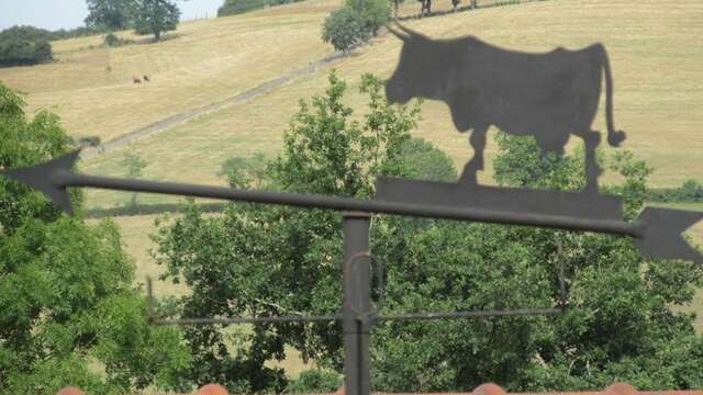La Vache sur le Toit