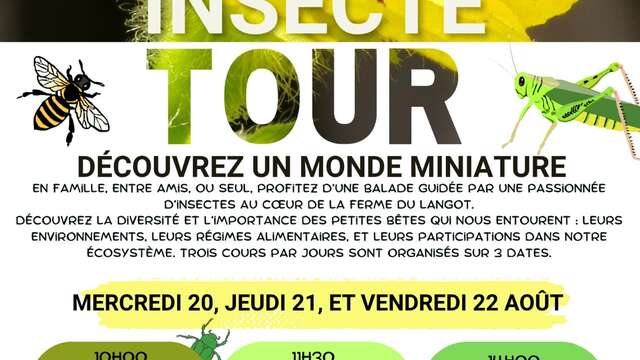 Exposition Macro Photo d'Insecte et Concert