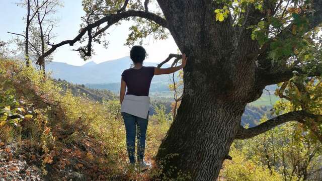 Bain de forêt - Les Ateliers d'Evyoute