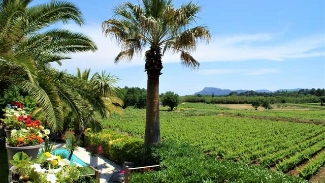 Villa les Lodges - Orchidées