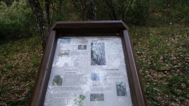 Hiking Les Boucles de l'Arlatane