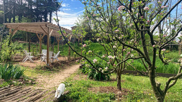 Mittelalterlicher Garten