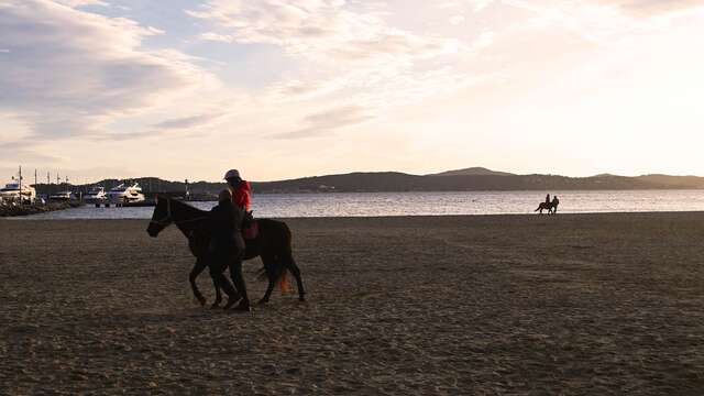 Balade à poneys