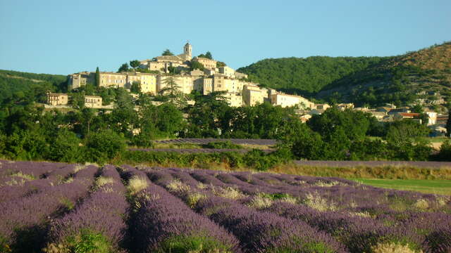 Office de Tourisme Intercommunal Haute-Provence Pays de Banon