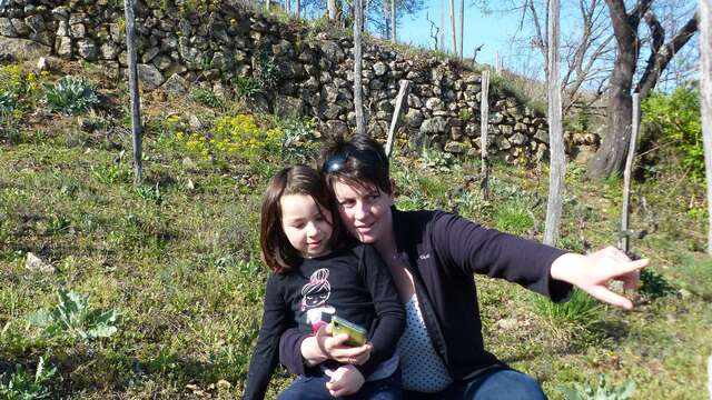 Chasse au trésor : Pépin et les origines de la Syrah