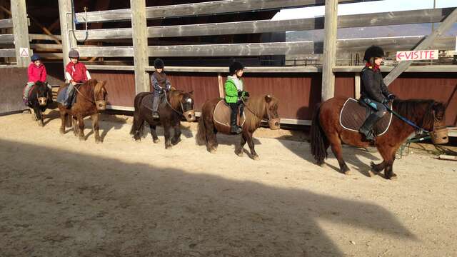 Cours en manège tous niveaux