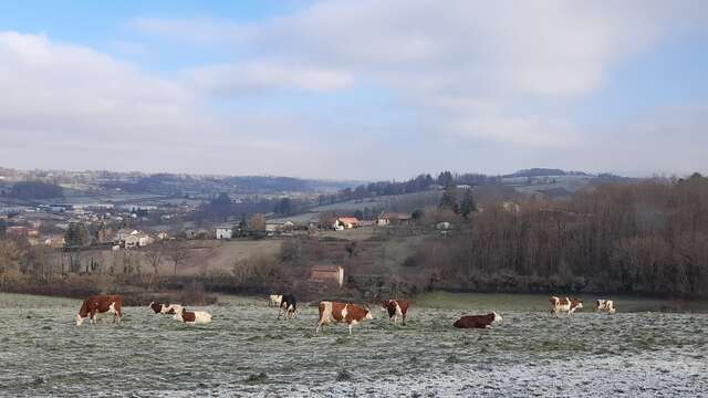 Ferme du Vieux Bourg