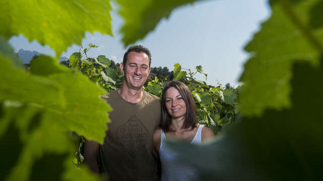 Apéro'vignes au Domaine Vendange