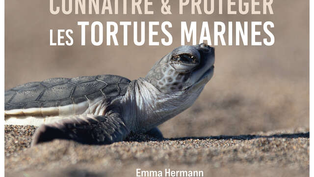 Conférence : Connaître et protéger les tortues marines