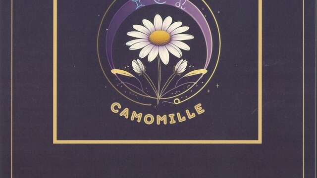 Oracle et Camomille