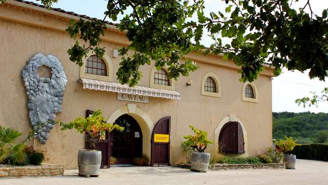 Visite de la cave - Domaine le Puy du Maupas