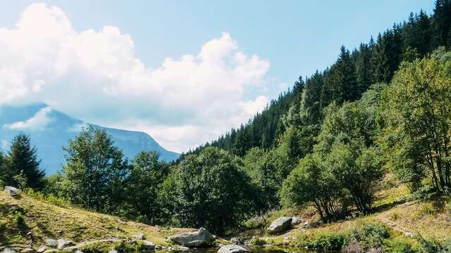 Les lacs d'altitude, ça baigne ?