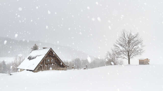 Exposition Loïc Perron : Fragments d'hiver