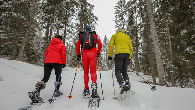 Snowshoe outing