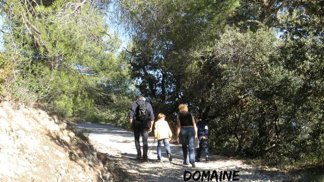 Rando Terroir, promenade pédestre