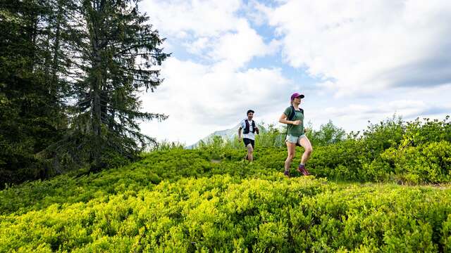 Circuit 37 green- Tour du massif du Corbeau