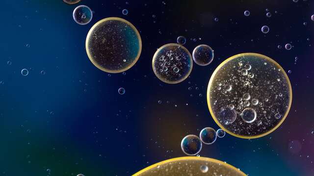 Kreativ-Workshop für Kinder