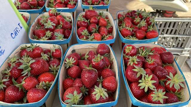 Marché des Producteurs de Chateauneuf de Gadagne