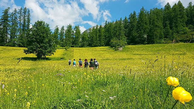 Randonnée le Chemin du Facteur