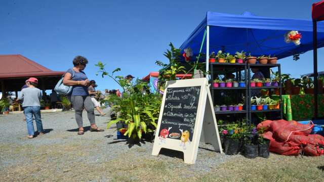 Moindou market