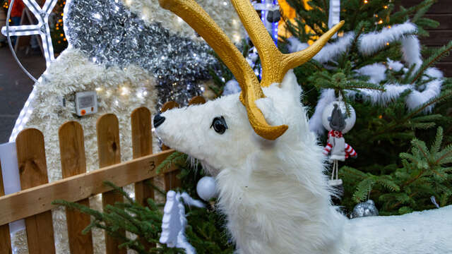 Spectacles pour enfants