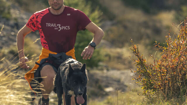 Cani-trail