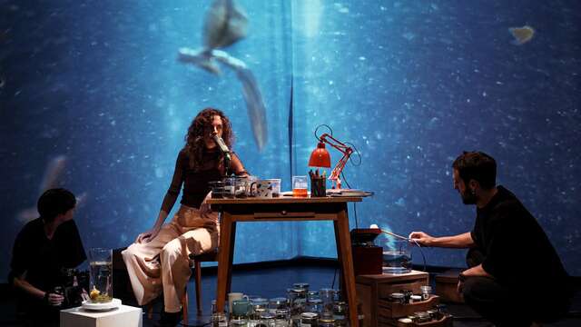 Matcha Girl - Festival  Confit !