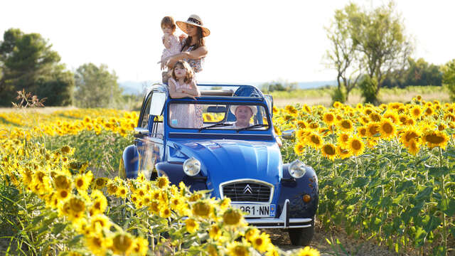 Découverte du Luberon en 2cv  à la journée