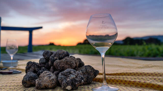 Cavage-Demonstration: Auf der Suche nach der Sommertrüffel in den Truffes de Soulières