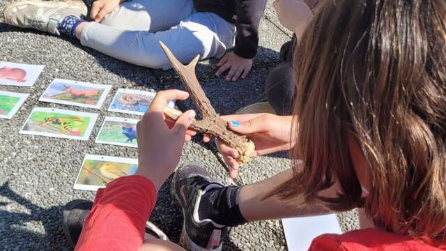 Mène ton inventaire ! I Rendez-vous Nature en Savoie