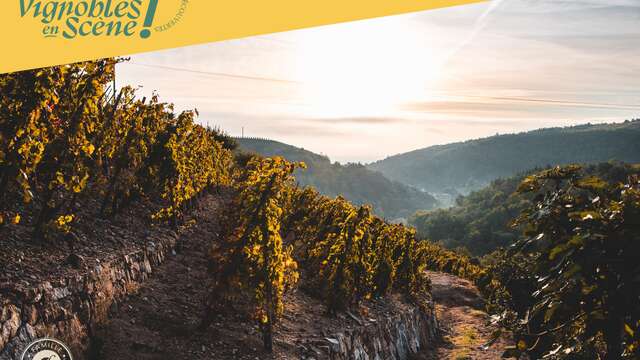 Rando Wine au Domaine Gaillard